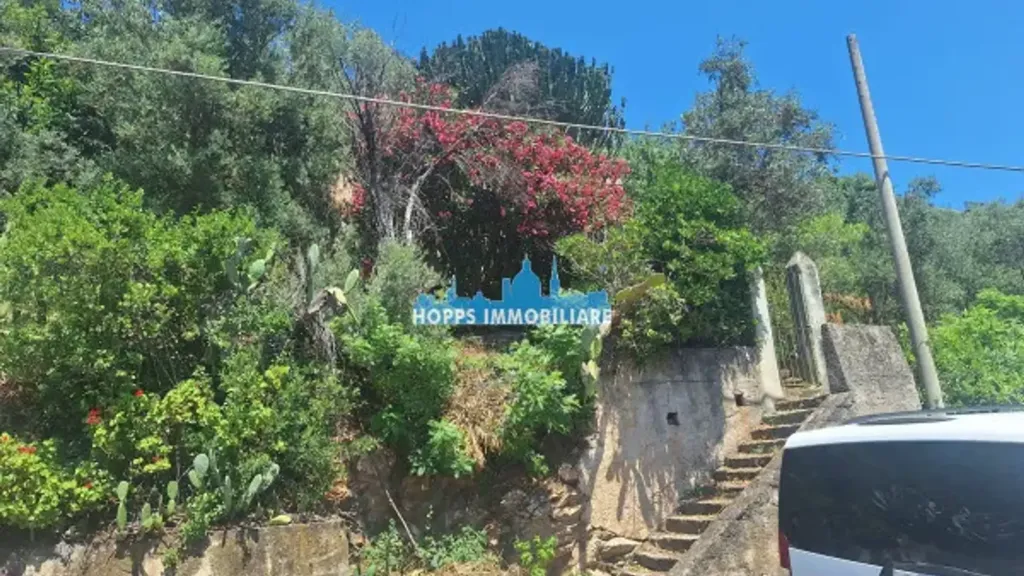 Giardino - Rustic Villa for Renovation in Monreale