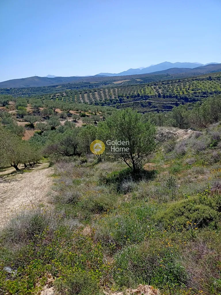 Terrain à GR