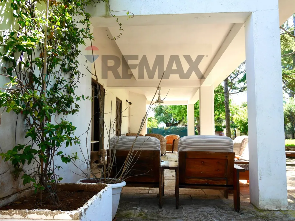 terrace_patio