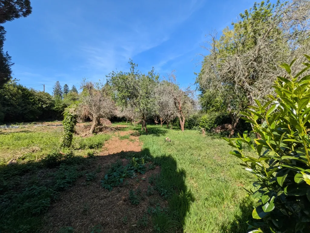 Aed - Bourgeois House with Ample Garden in Bubry