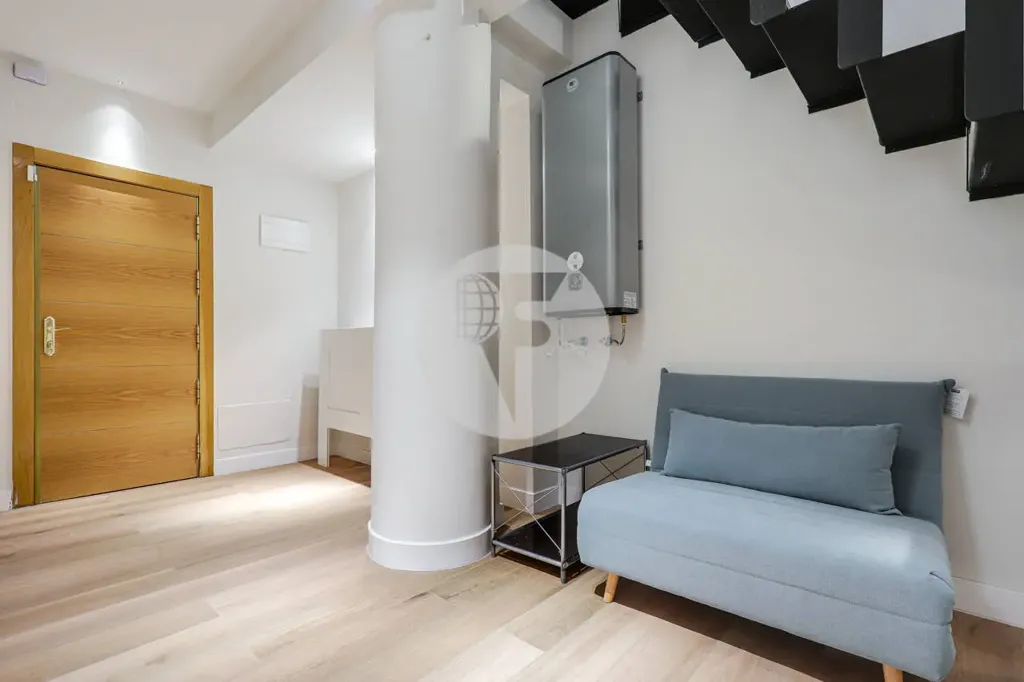 Esik - Renovated Duplex with Two Entrances in Guindalera
