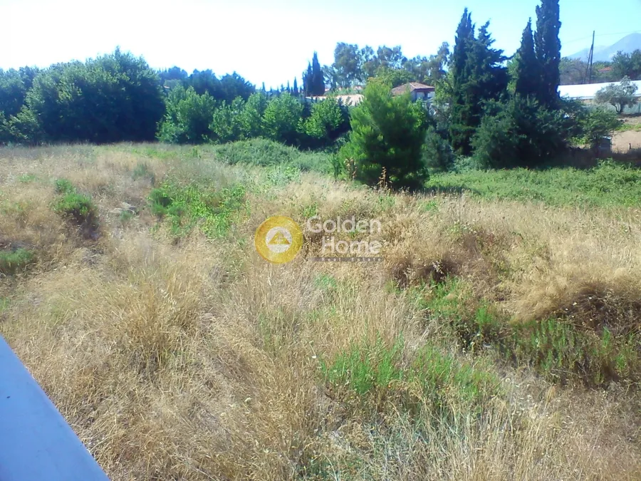 Garden - Agricultural Plot with Unrestricted View in Kiparissia