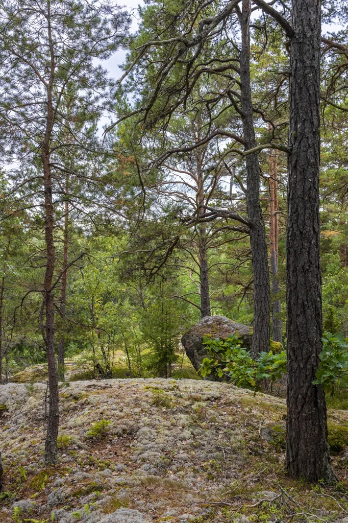 Aed - Plot with Forest View in Södertälje