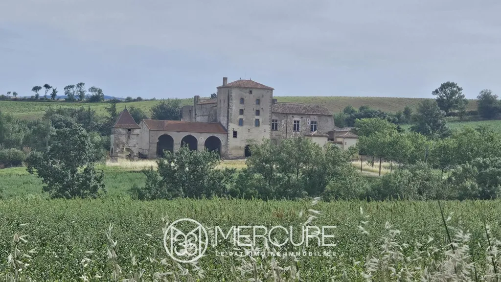 Esterno - Restored Medieval Château with Pyrenees View