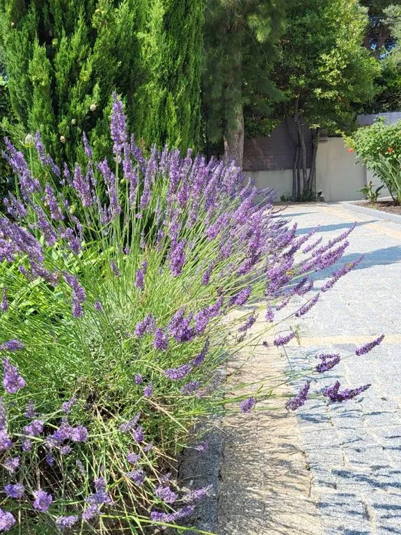 Välivaade - Luxury Flat with Barbeque in Antibes