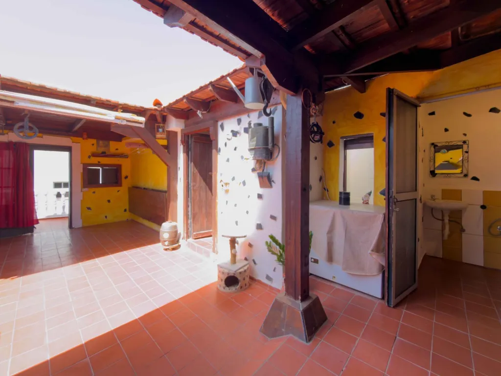 terrace_patio