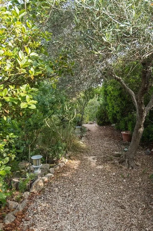 Jardin - Traditional Villa with Pool in Portichol