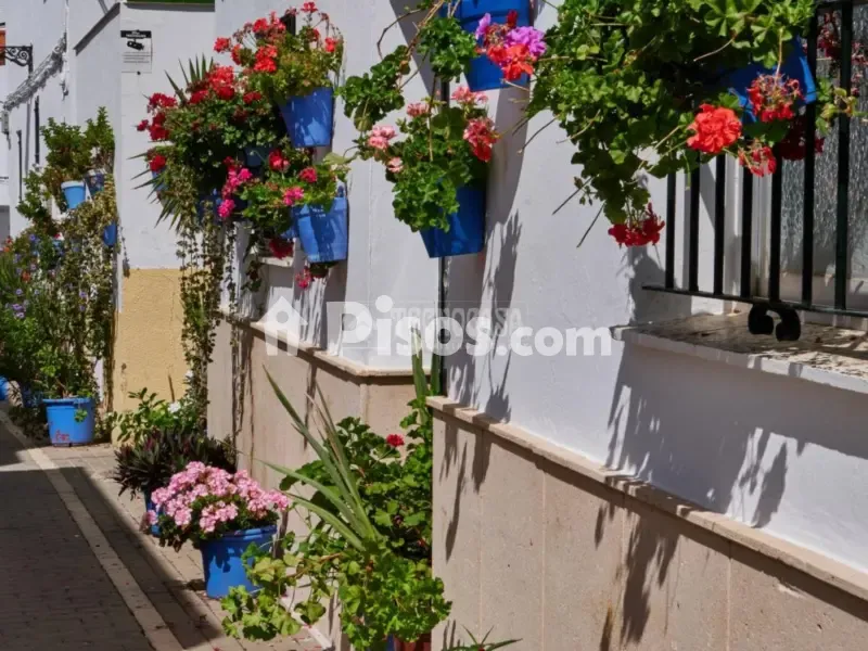 Välivaade - Reformed Apartment with Patio in Conil