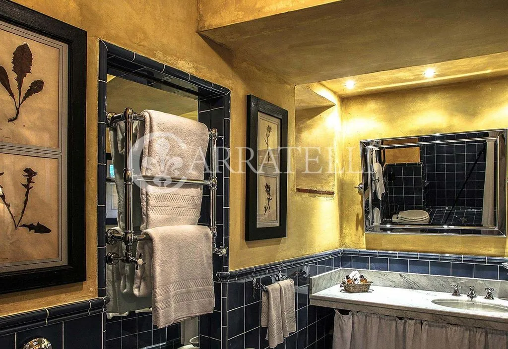 Vannitoad - Luxury Villa with Pool in Greve in Chianti