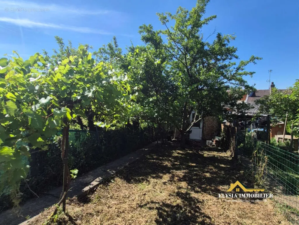 Jardin - Maison à Conforter avec Jardin à Pagny-sur-Moselle