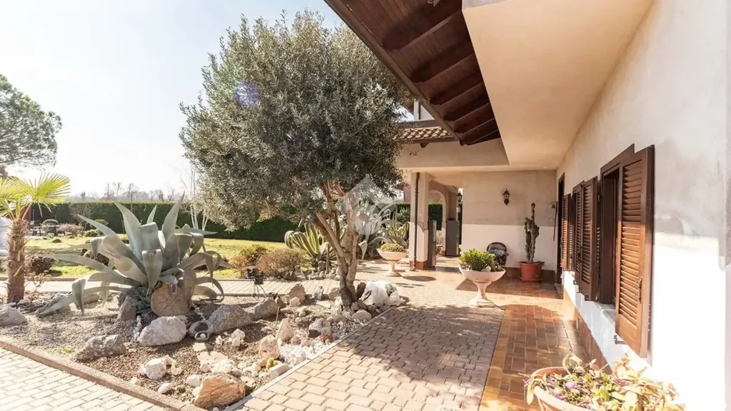 terrace_patio