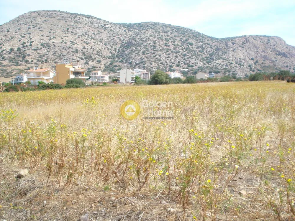 Jardin - Villa with Sea View in Harakas