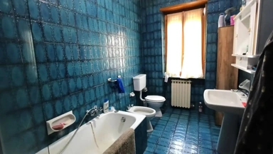 Salles de bain - Villa with Private Garden in Giaveno