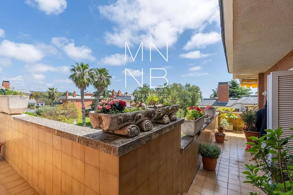 terrace_patio
