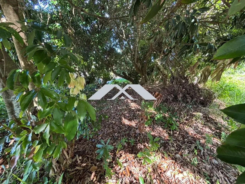 Aed - Buildable Plot in Residential Carosse, Saint-Joseph