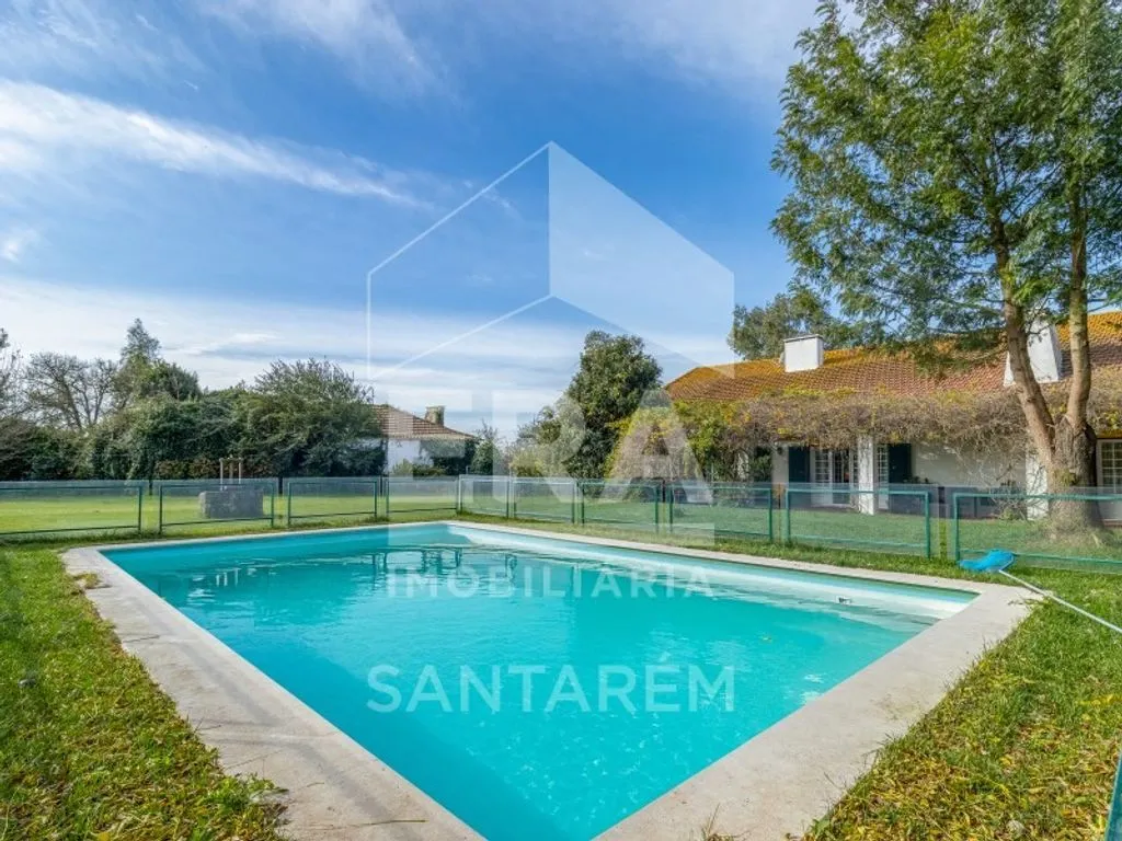 Piscine - Luxury House with Agricultural Land in Benfica do Ribatejo