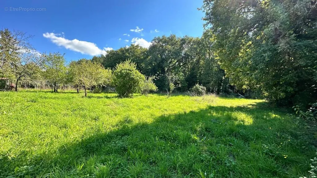Jardin - Terrain Arboré au Calme à Chaniers
