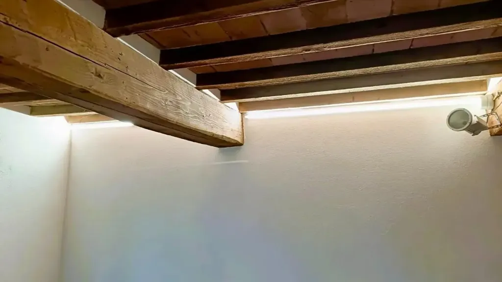 Toad - Rustic-Style Flat with Private Garden in Empoli