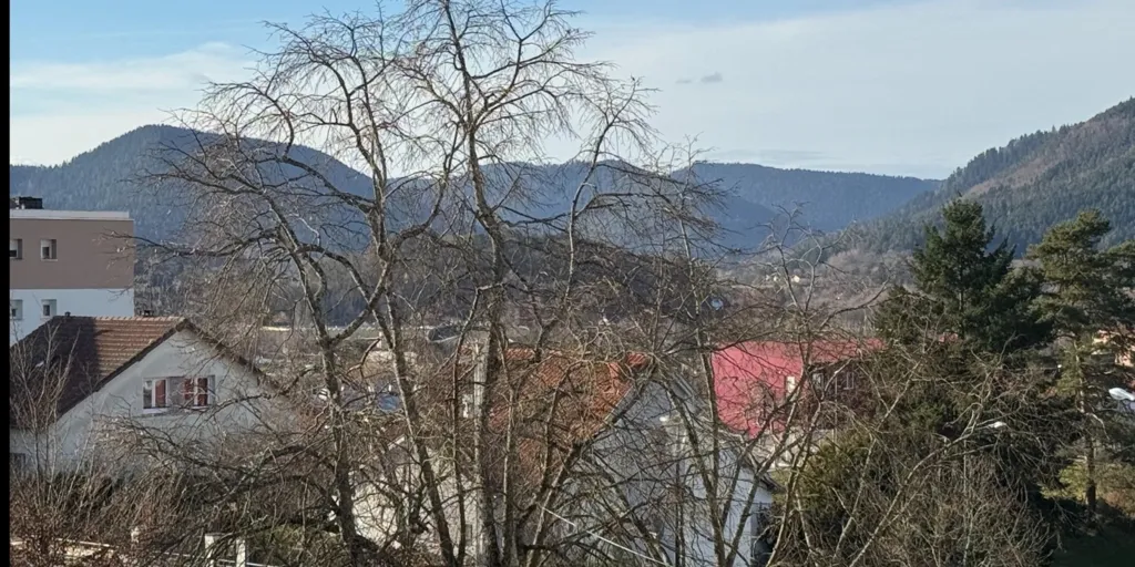 Appartement T6 avec Parc à Saint-Dié-des-Vosges
