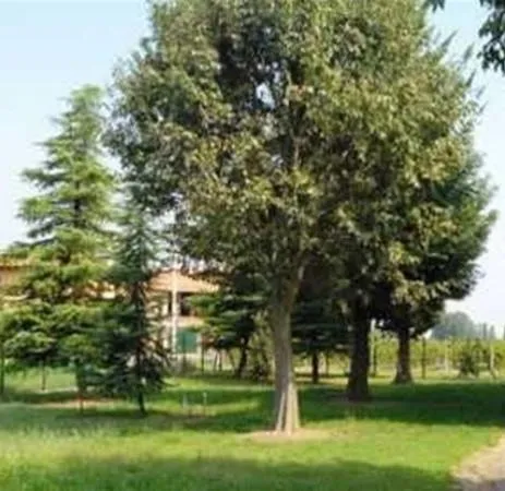 Jardin - Rustic Farmhouse with Barn in Reggio Emilia
