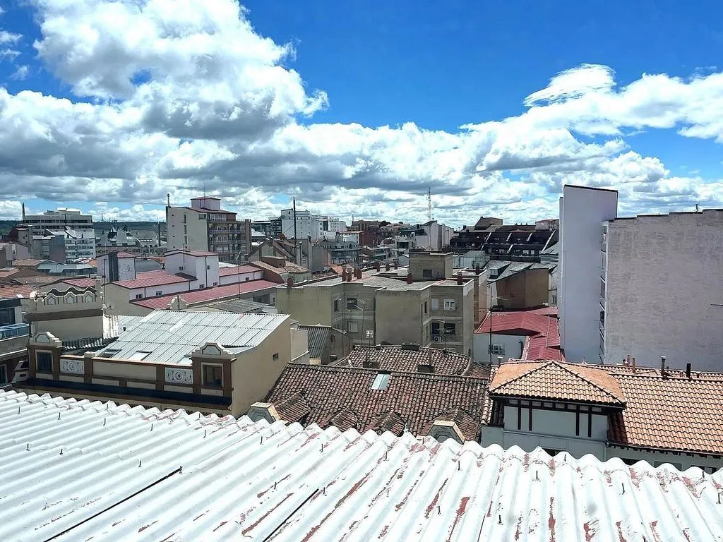 Balcon - Loft with Terrace in City Centre