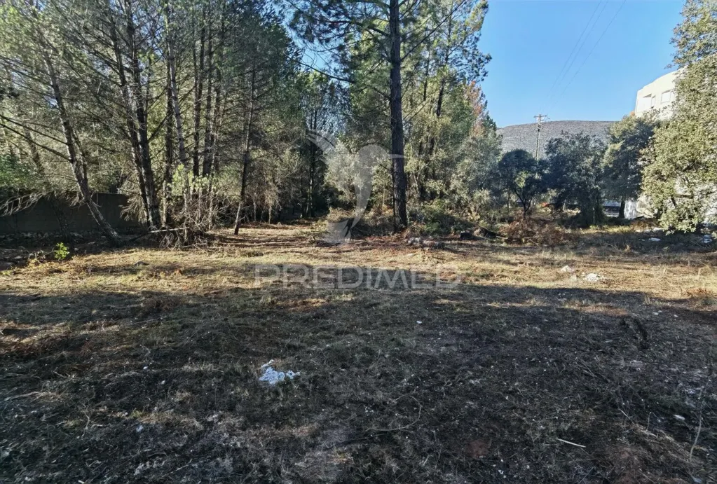 Aed - Urban Plot with Field View in Minde / Alcanena