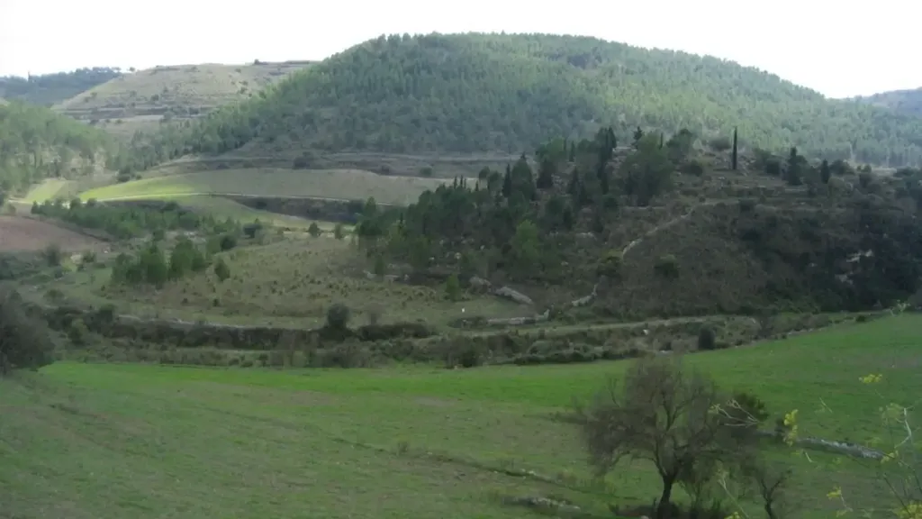 Traditional Rustico with Extensive Land in Ragusa