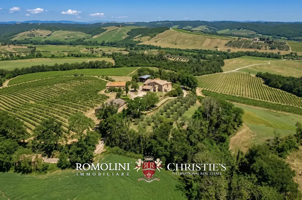 Õhuvaade - Rustic Casale with Vineyard near Orvieto