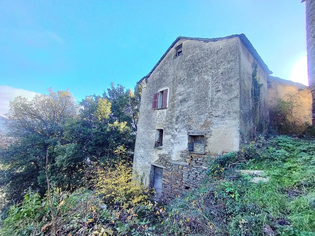 Extérieur - Maison en Pierre à Rénover à Campodonico