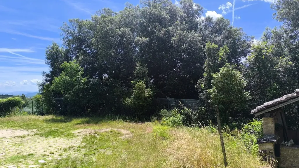 Jardín - Rustic Apartment with Private Garden in Monticiano