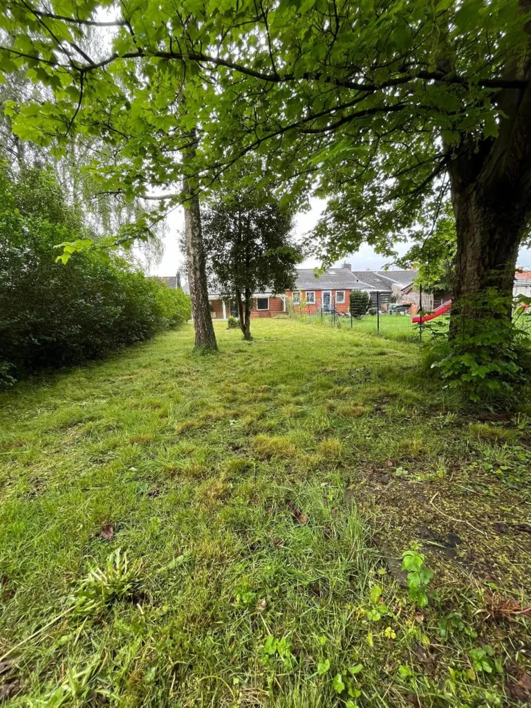Jardin - Maison en Pierre avec Jardin à Rénover
