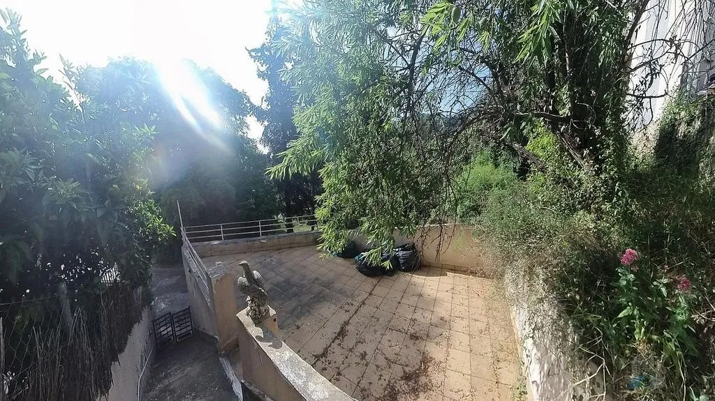 garden
