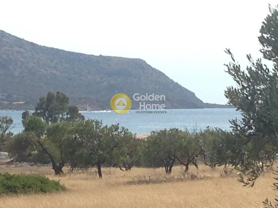 Jardin - Agricultural Plot with Sea View in Eastern Attica