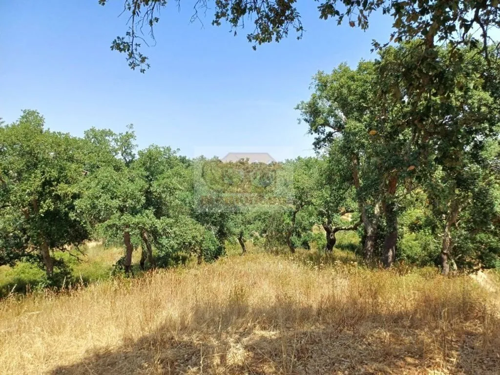 Garden - Development Land with Mountain Views in Grândola