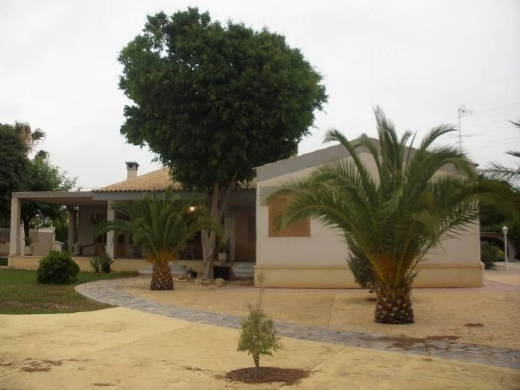 Extérieur - Luxury Villa with Pool in Elche
