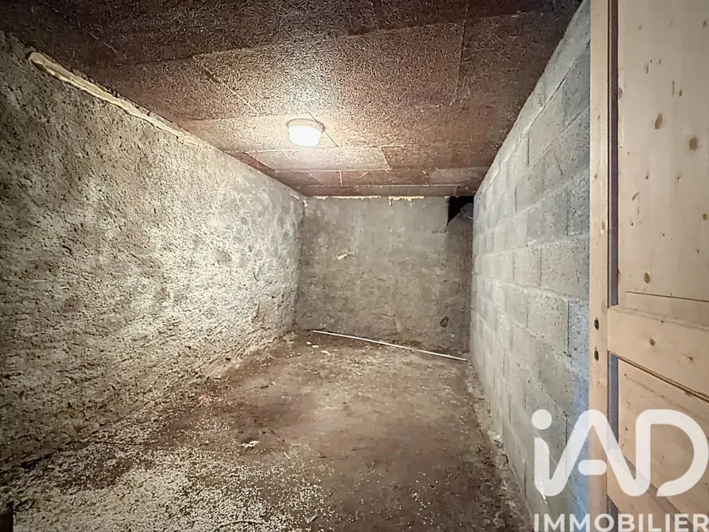 cellar