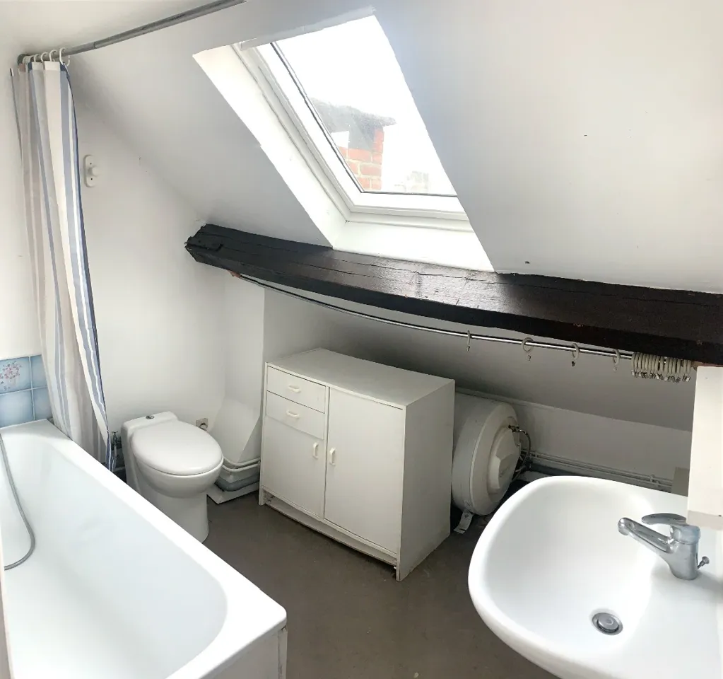 Vannitoad - Studio Apartment with Mezzanine in Lille