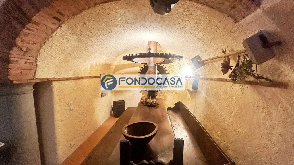 Toad - Historic Mill with Garden in Camaiore