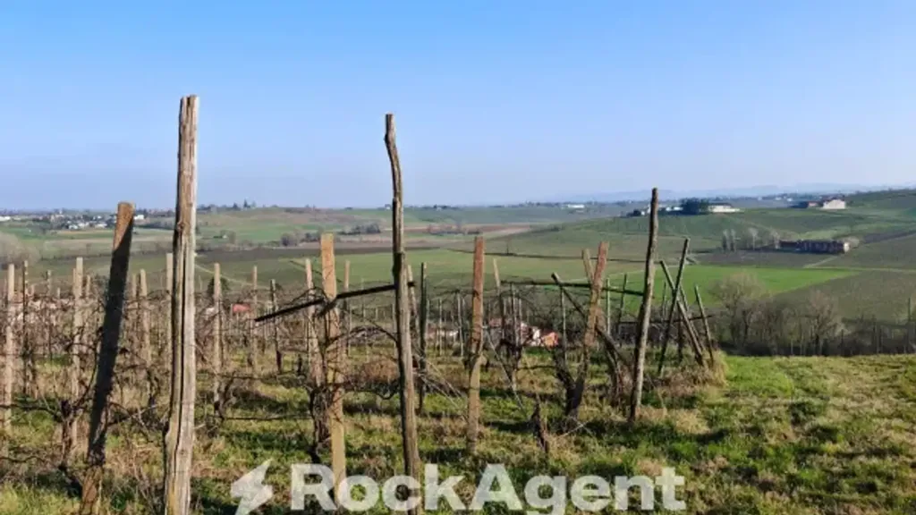 Aed - Cascina with Vineyard in San Damiano al Colle