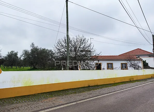 Extérieur - Remodelled Quinta with Olive Grove in Avis