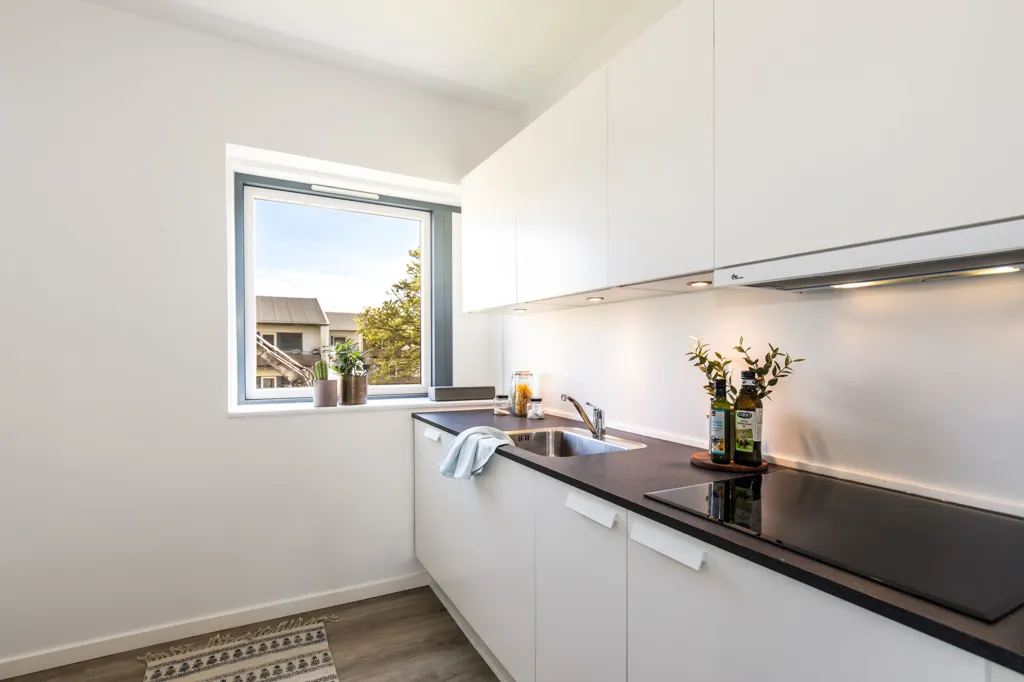 Cuisine - 3-Bedroom Flat with Balcony in Vejle