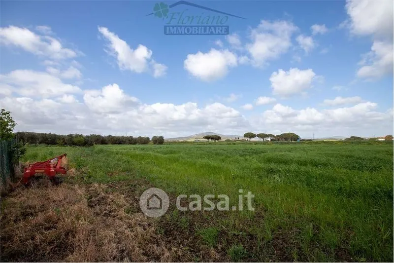 Aed - Rustic Casale with Expansion Potential in Capalbio