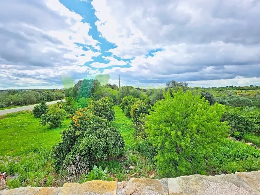 Aed - Villa with Rural Setting near Silves