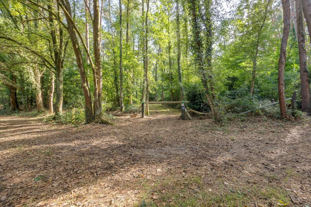 Garden - Building Plot with Renovation Potential in Lummen