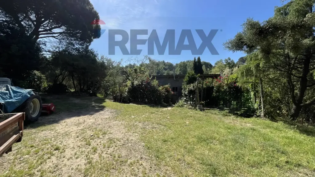 Jardin - Tuscan Hamlet with Olive Groves in Vinci