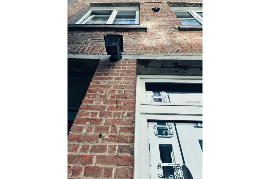 Exterior - Quiet Back House with Terrace in Brussels