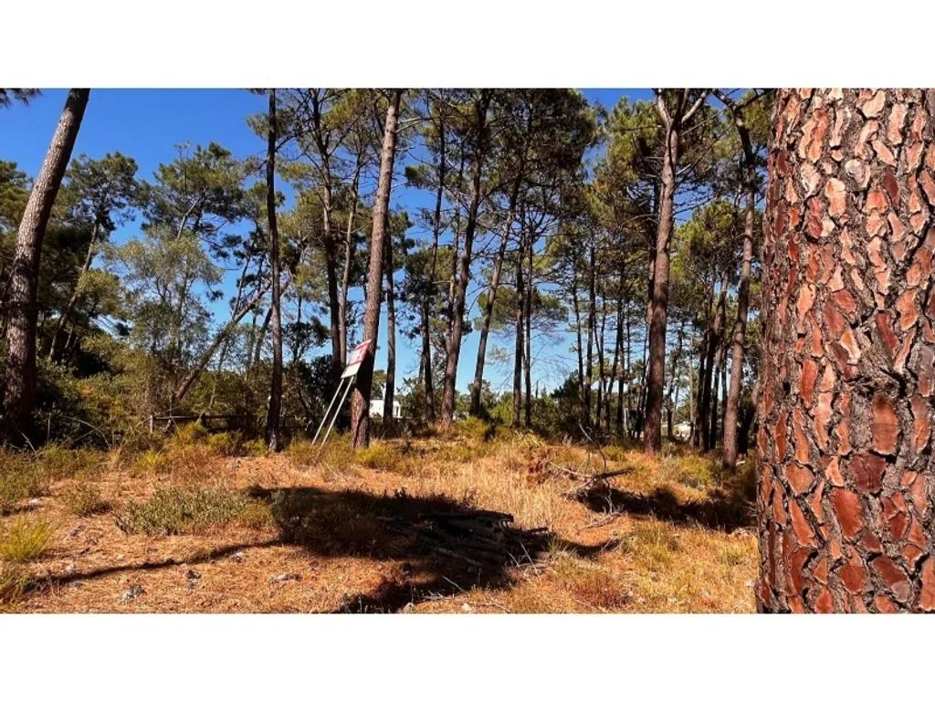 Aed - Approved Luxury Villa Plot in Herdade da Aroeira