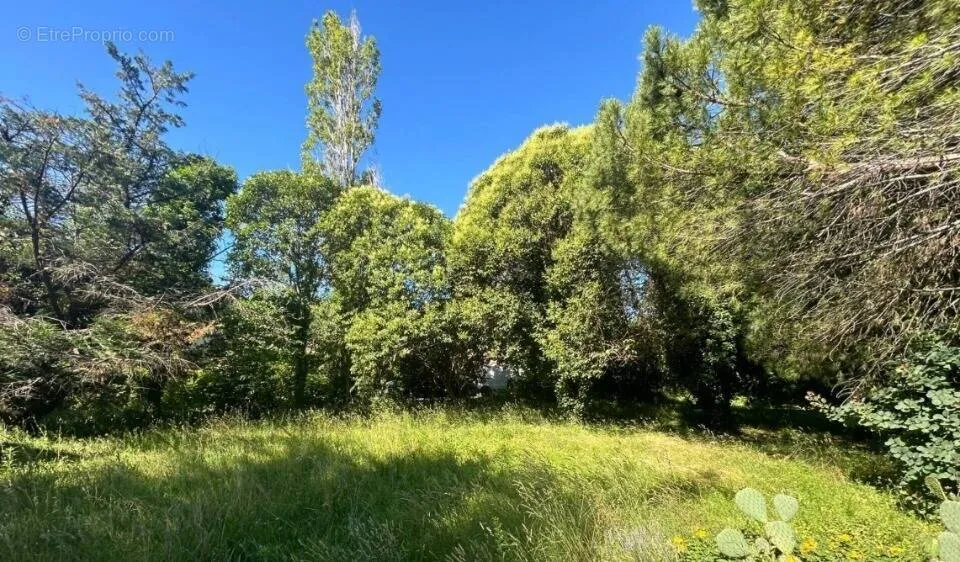 Aed - Unbuilt Plot with Garden in Viviers