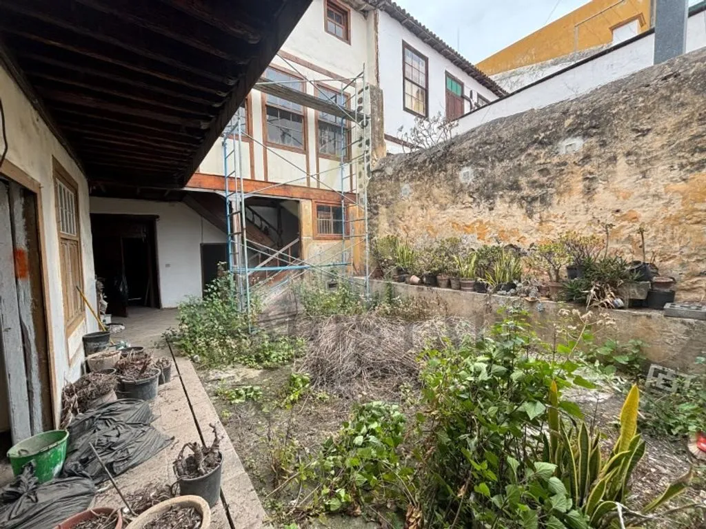 Jardin - Spacious Terraced House in Icod de los Vinos