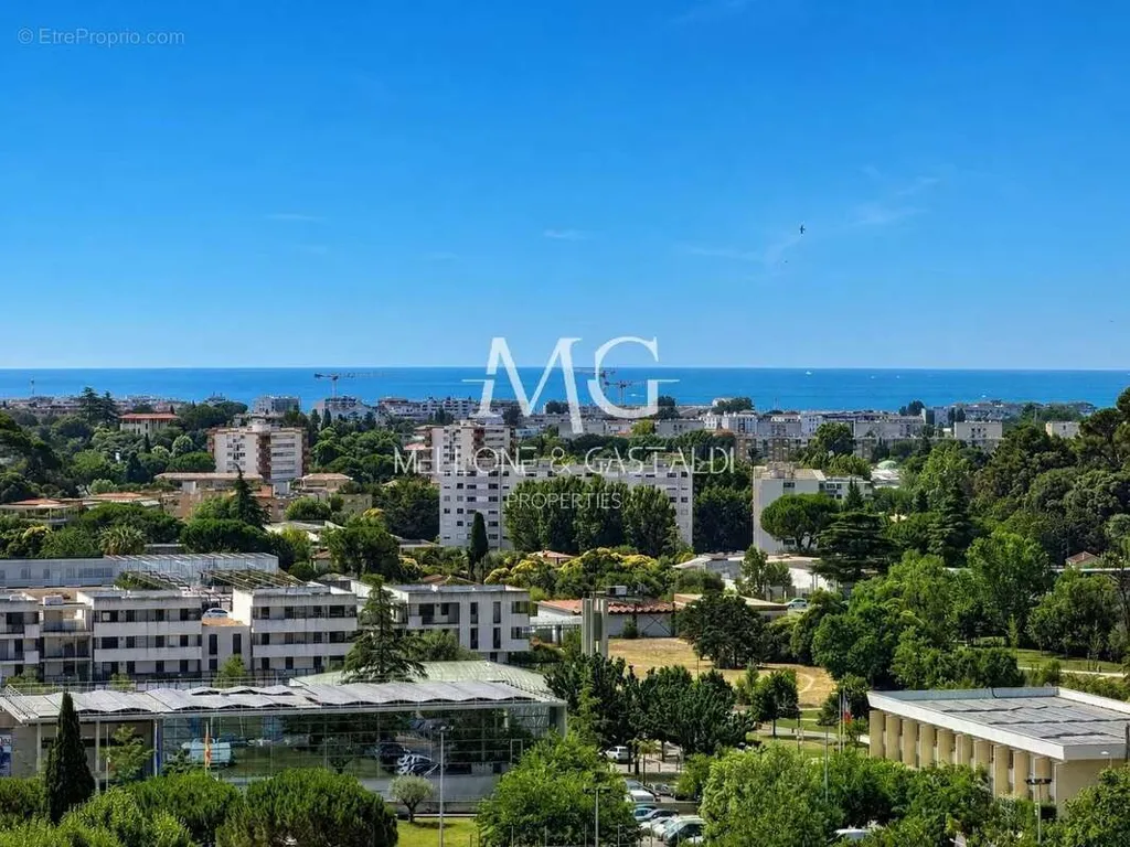 Vista aerea - Apartment with Panoramic Sea View in Cannes la Bocca